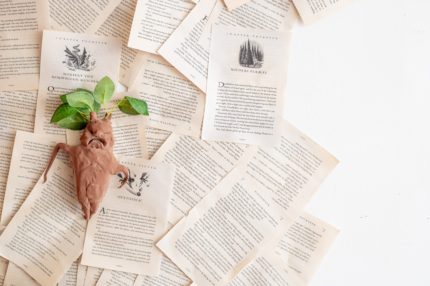 Mandrake on book pages