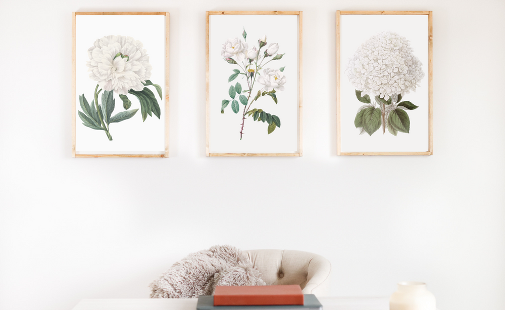 Botanical Print Signs