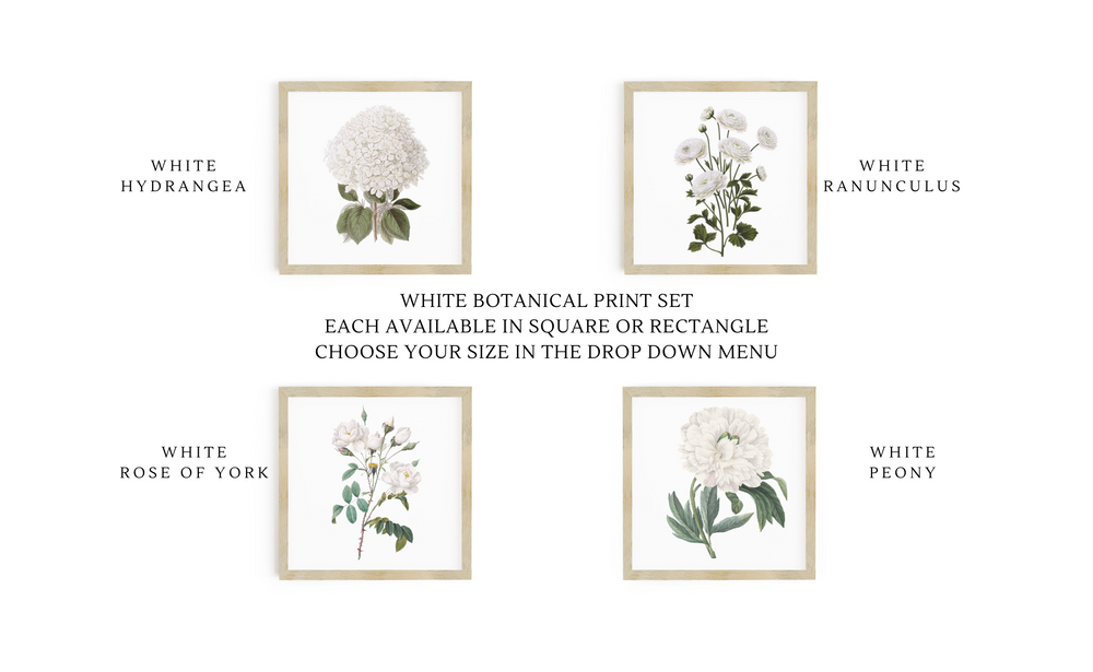 Botanical Print Signs