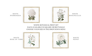 
            
                Load image into Gallery viewer, Botanical Print Signs
            
        
