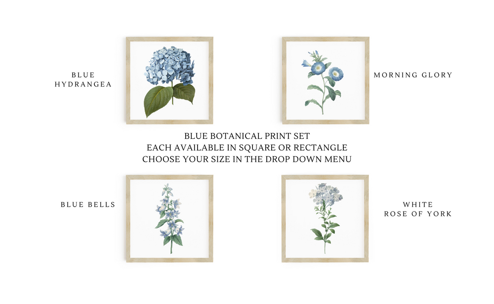 
            
                Load image into Gallery viewer, Botanical Print Signs
            
        