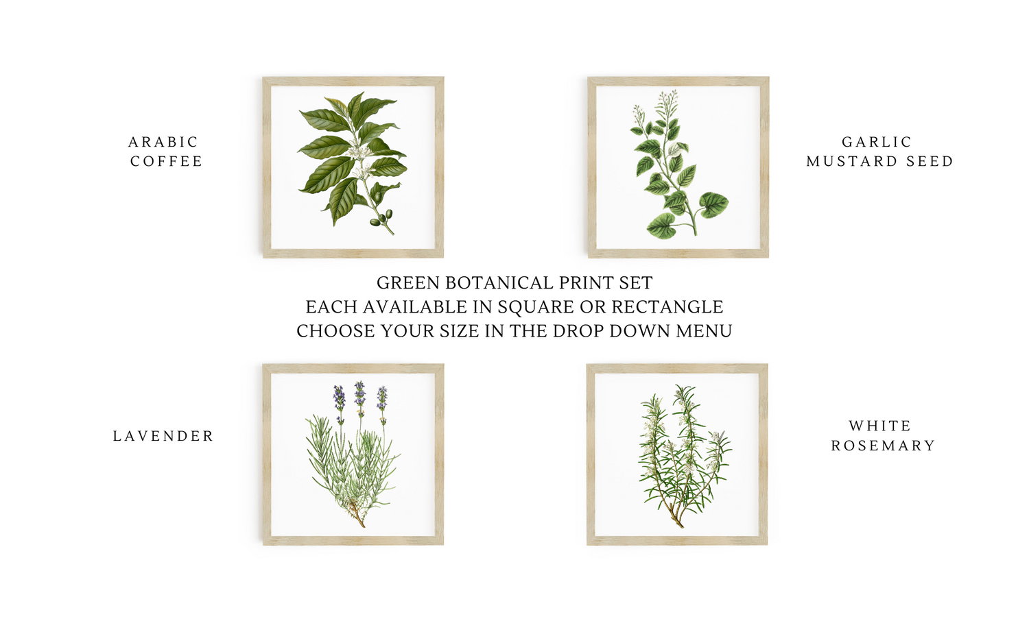 Botanical Print Signs