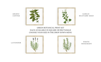 Botanical Print Signs